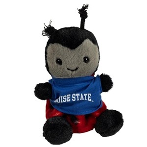 BOISE STATE PALM PET -  ladybug